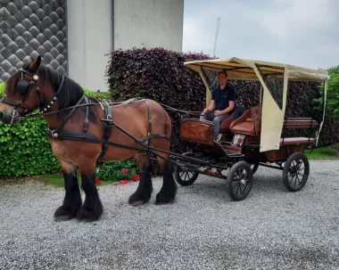 Photo semaine de la mobilité 2024